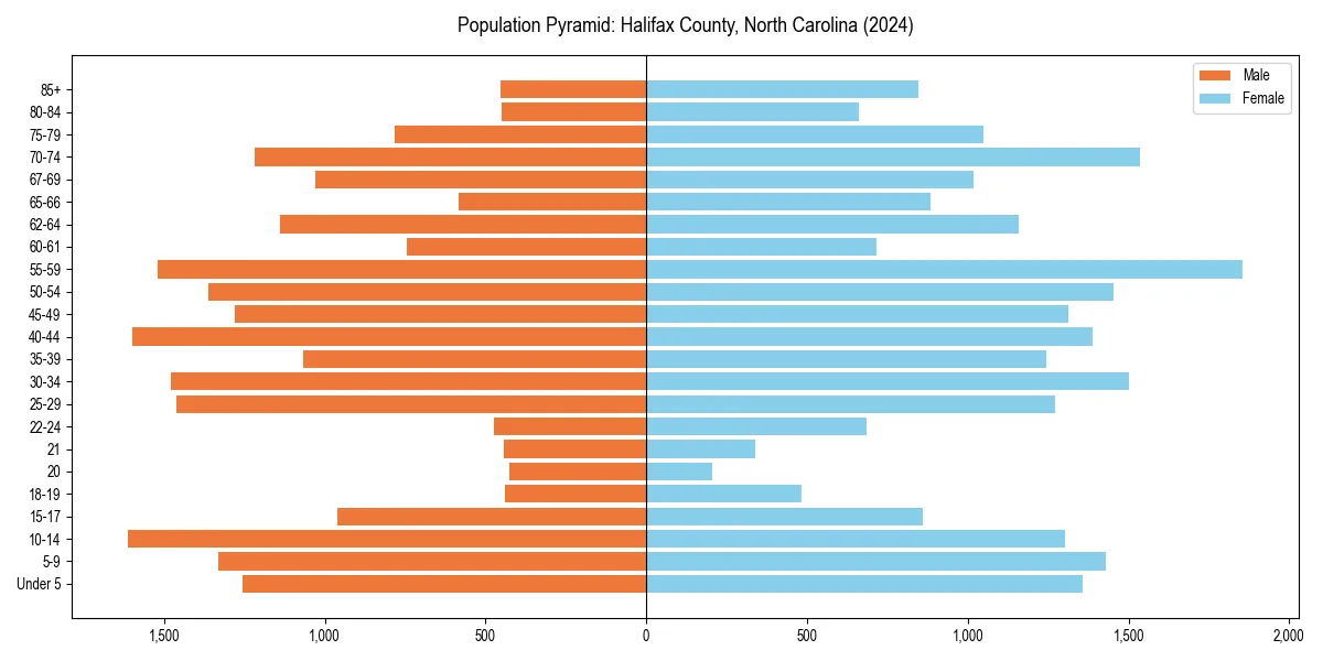 Population pyramid for 