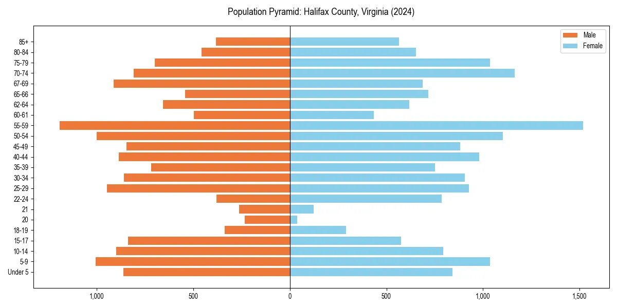 Population pyramid for 