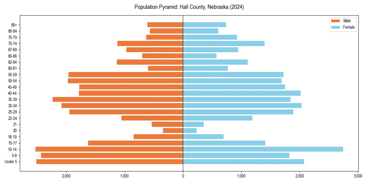 Population pyramid for 