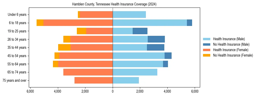 Health insurance pyramid for Hamblen County, Tennessee