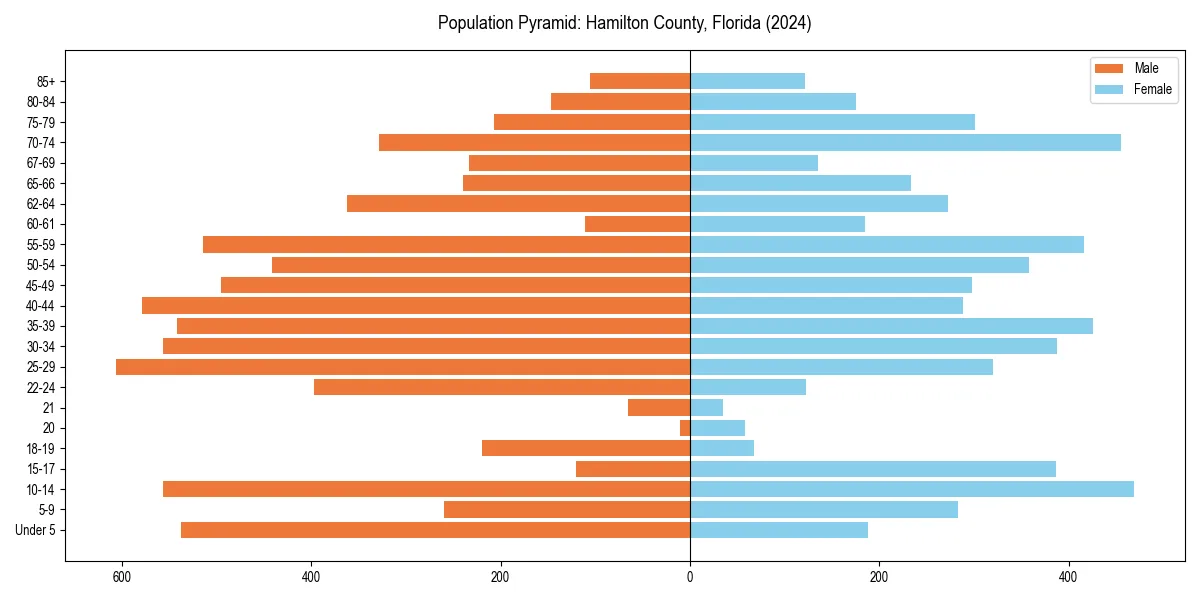 Population pyramid for 