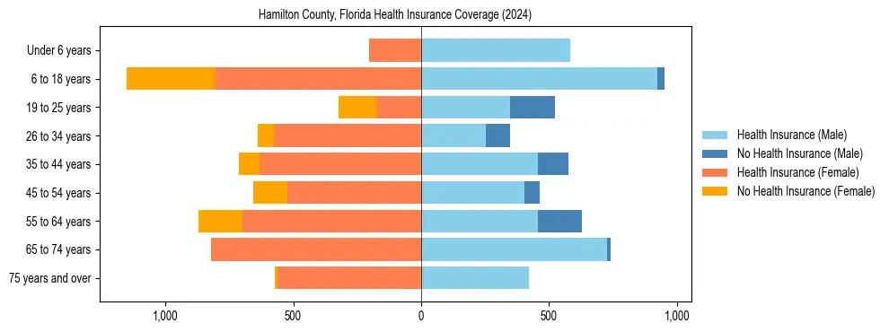 Health insurance pyramid for Hamilton County, Florida