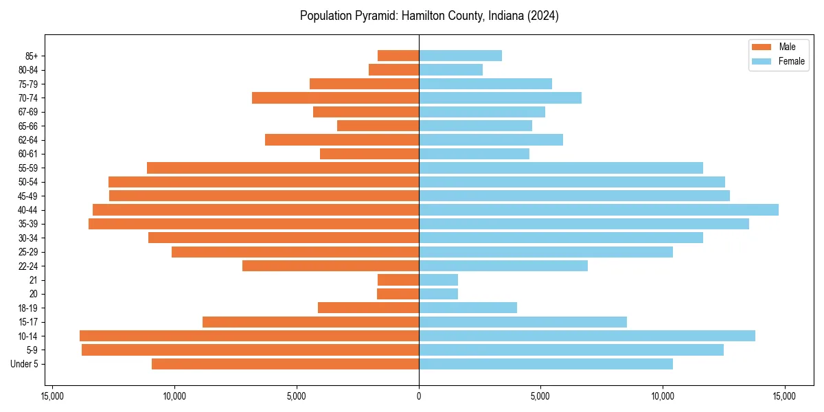 Population pyramid for 
