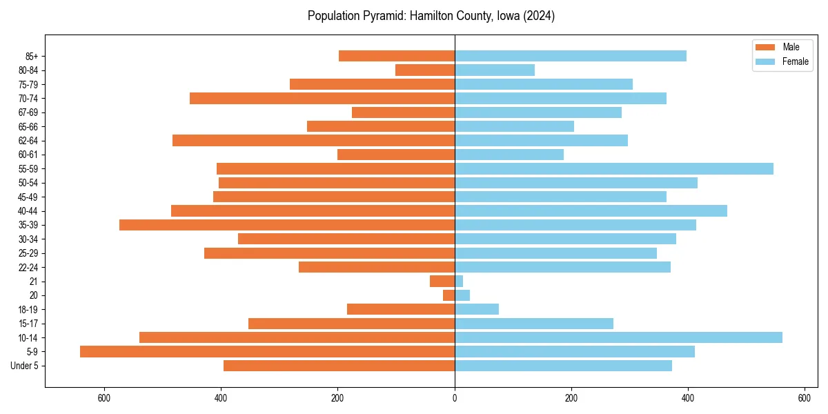 Population pyramid for 