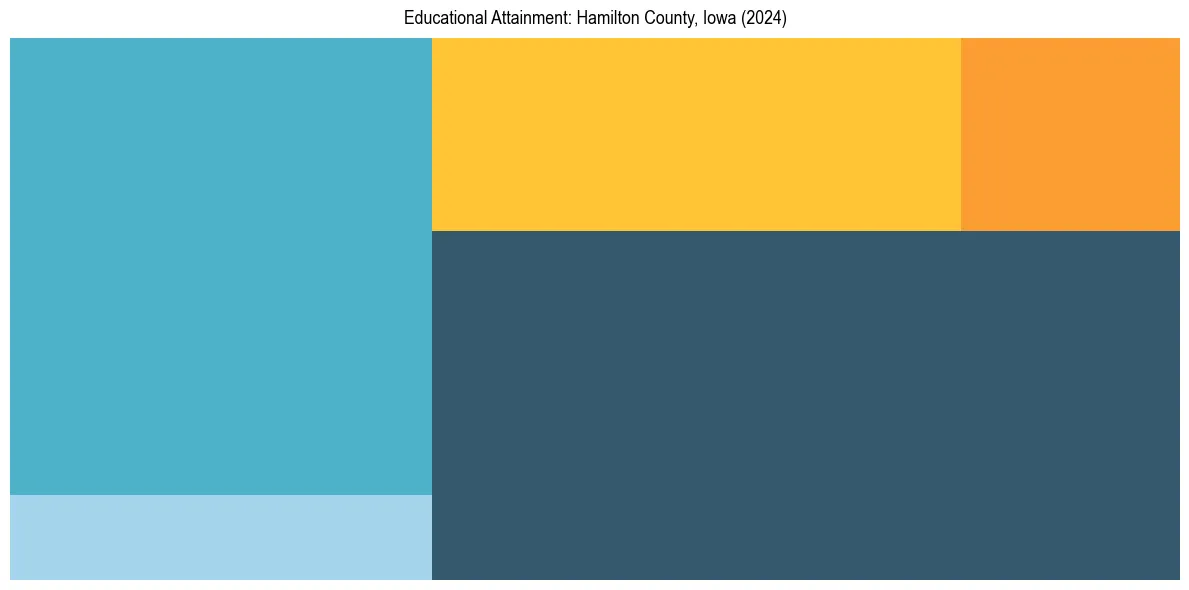 Education Treemap for  in 2024