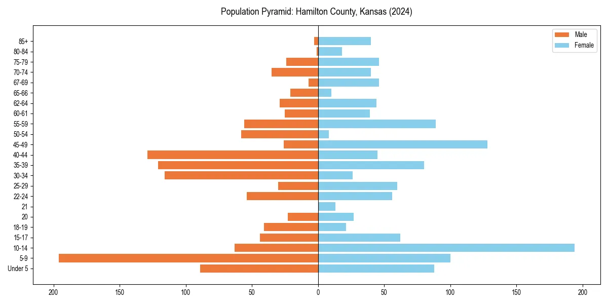 Population pyramid for 