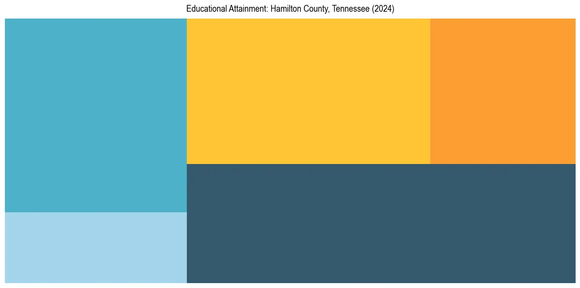 Education Treemap for  in 2024