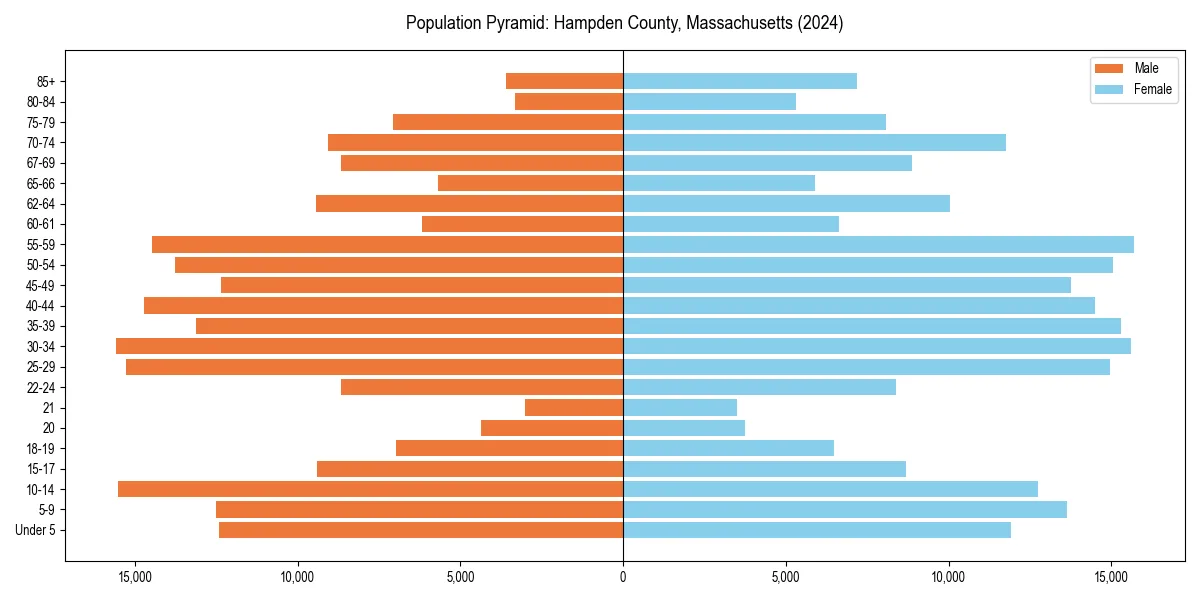 Population pyramid for 