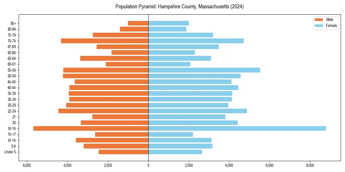 Population pyramid for 