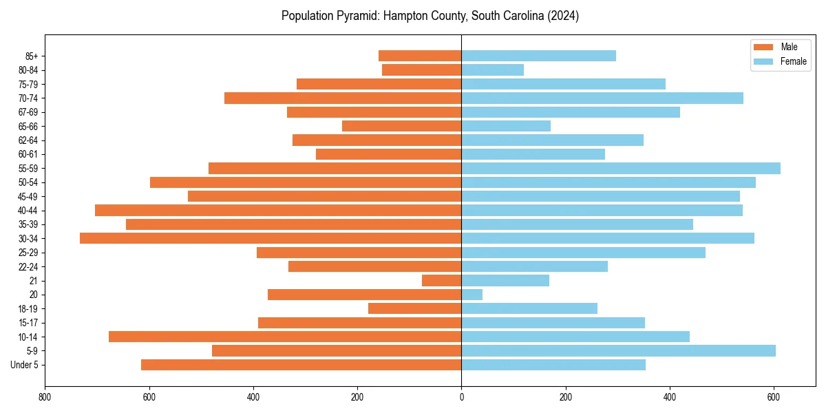 Population pyramid for 