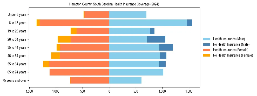 Health insurance pyramid for Hampton County, South Carolina