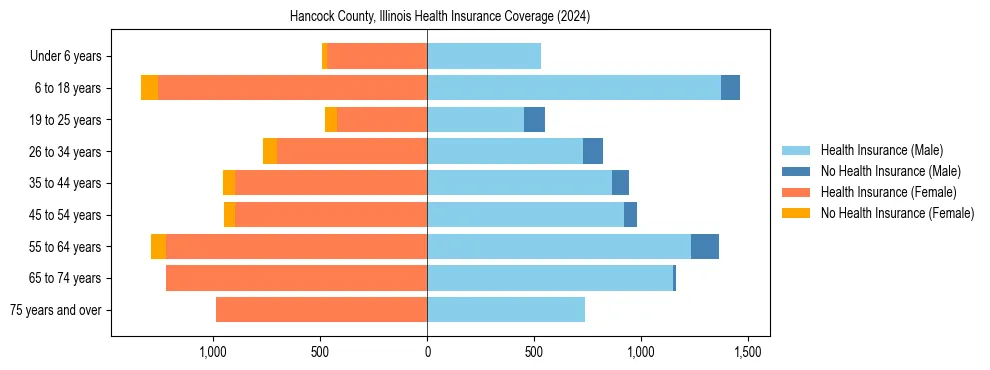 Health insurance pyramid for Hancock County, Illinois