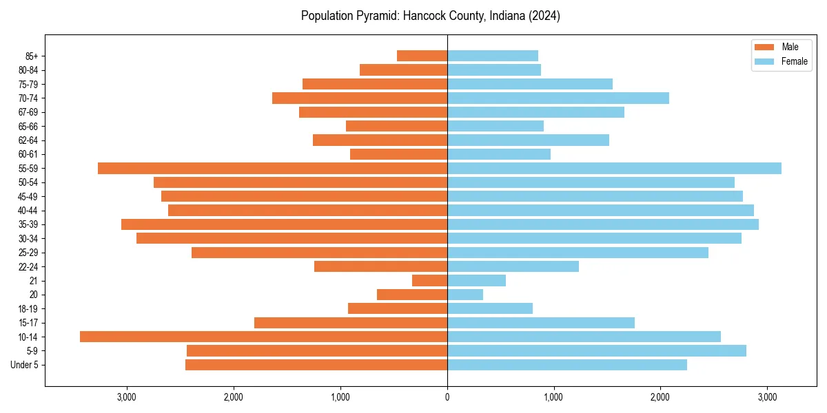 Population pyramid for 