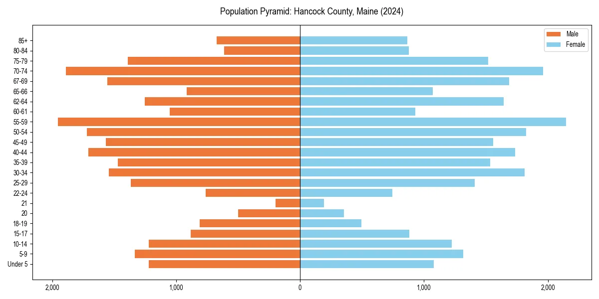 Population pyramid for 