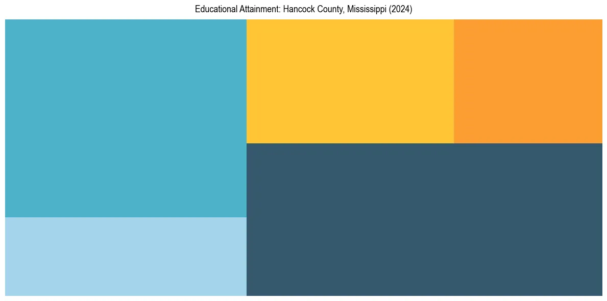 Education Treemap for  in 2024