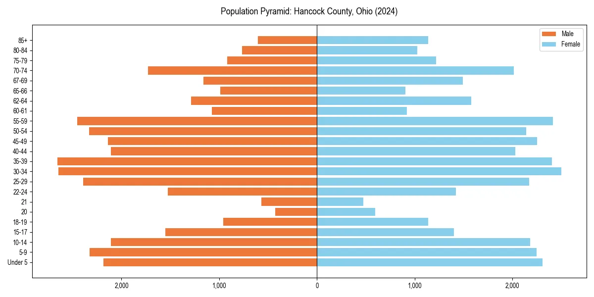 Population pyramid for 