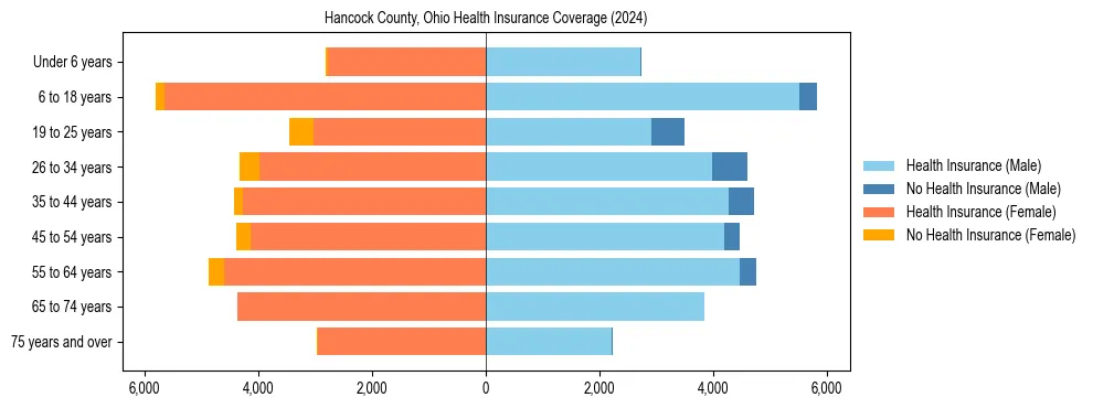 Health insurance pyramid for Hancock County, Ohio