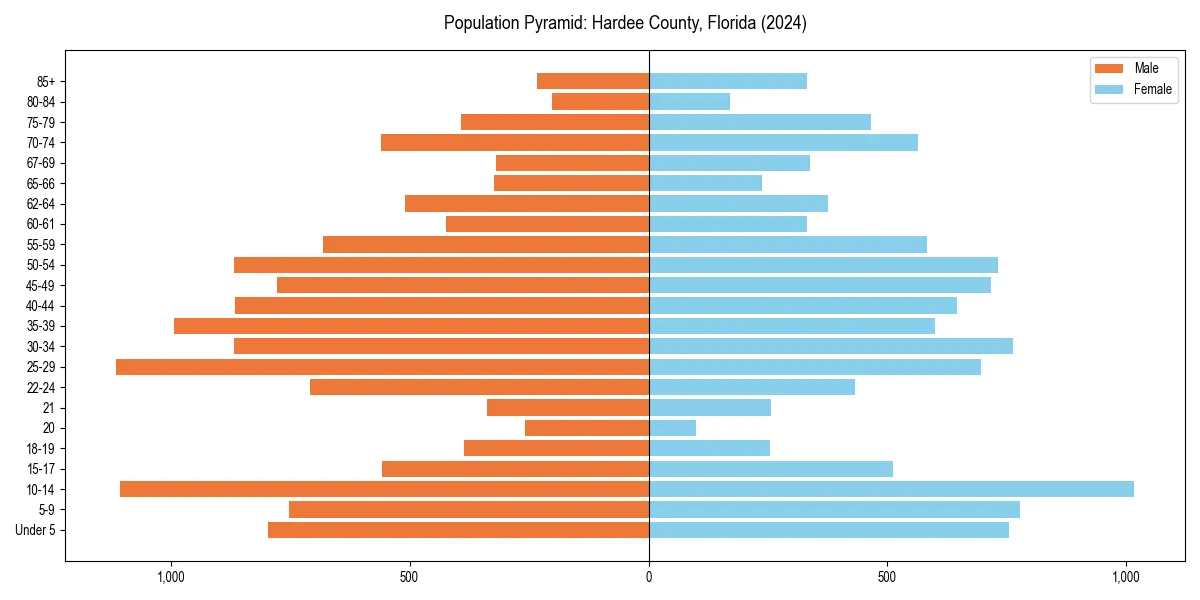 Population pyramid for 