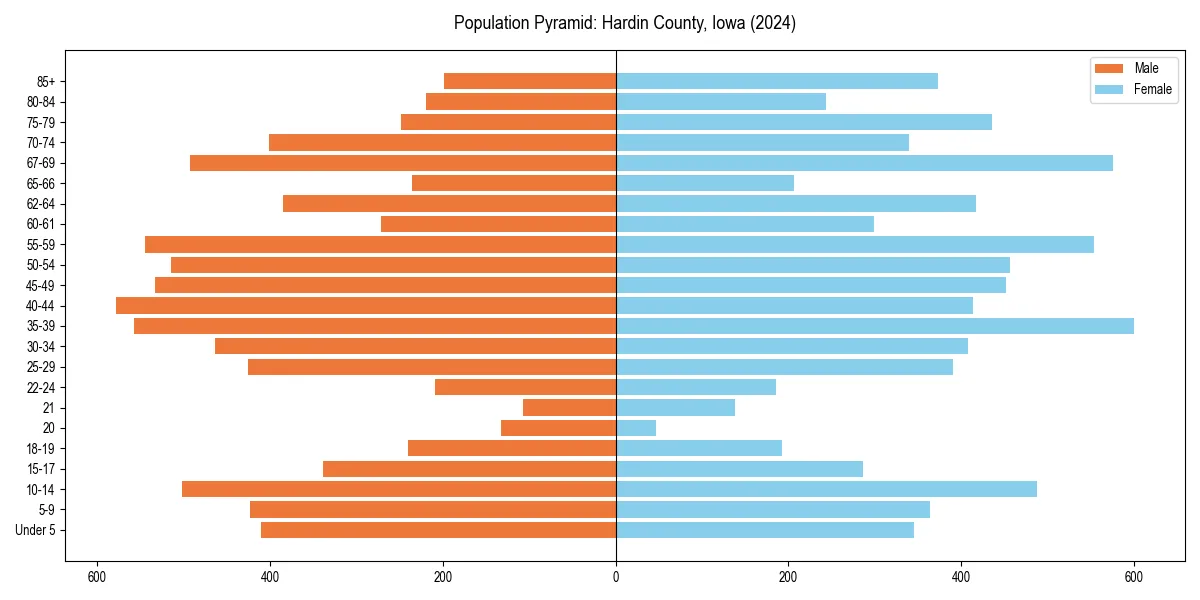 Population pyramid for 