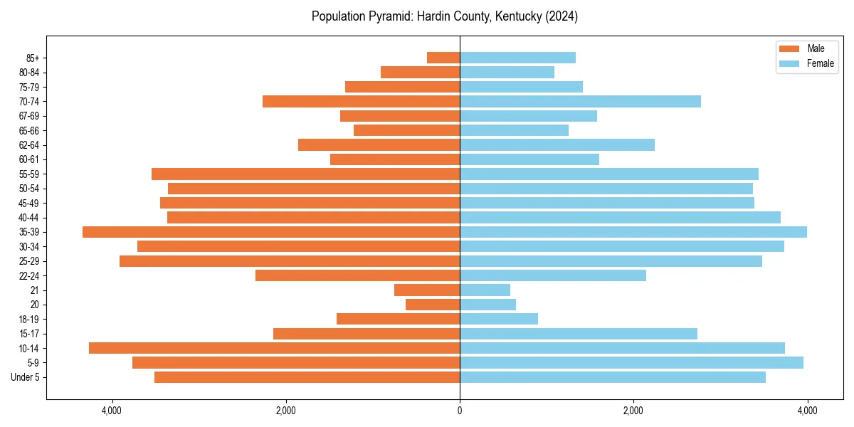 Population pyramid for 