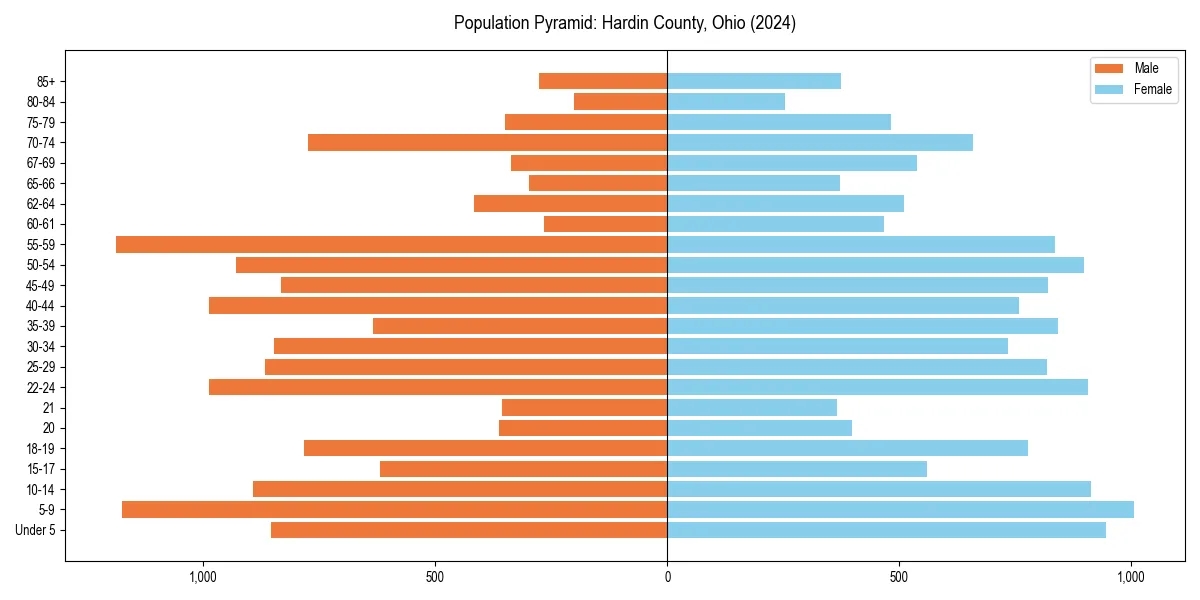 Population pyramid for 