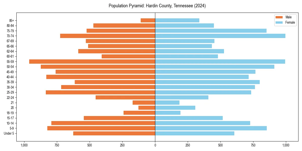 Population pyramid for 