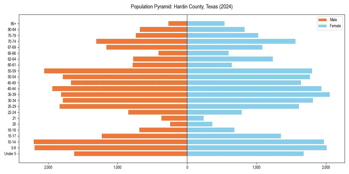 Population pyramid for 