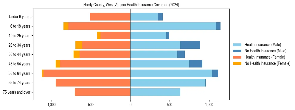 Health insurance pyramid for Hardy County, West Virginia
