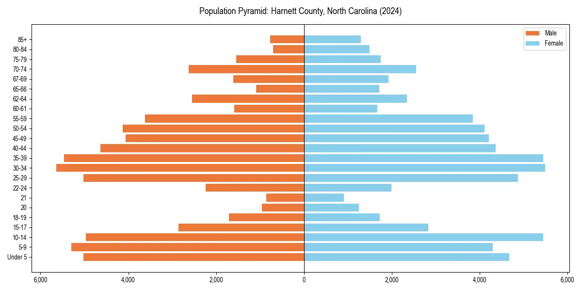 Population pyramid for 