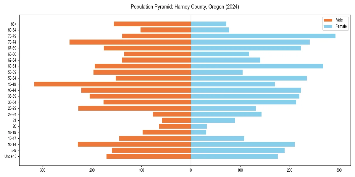 Population pyramid for 