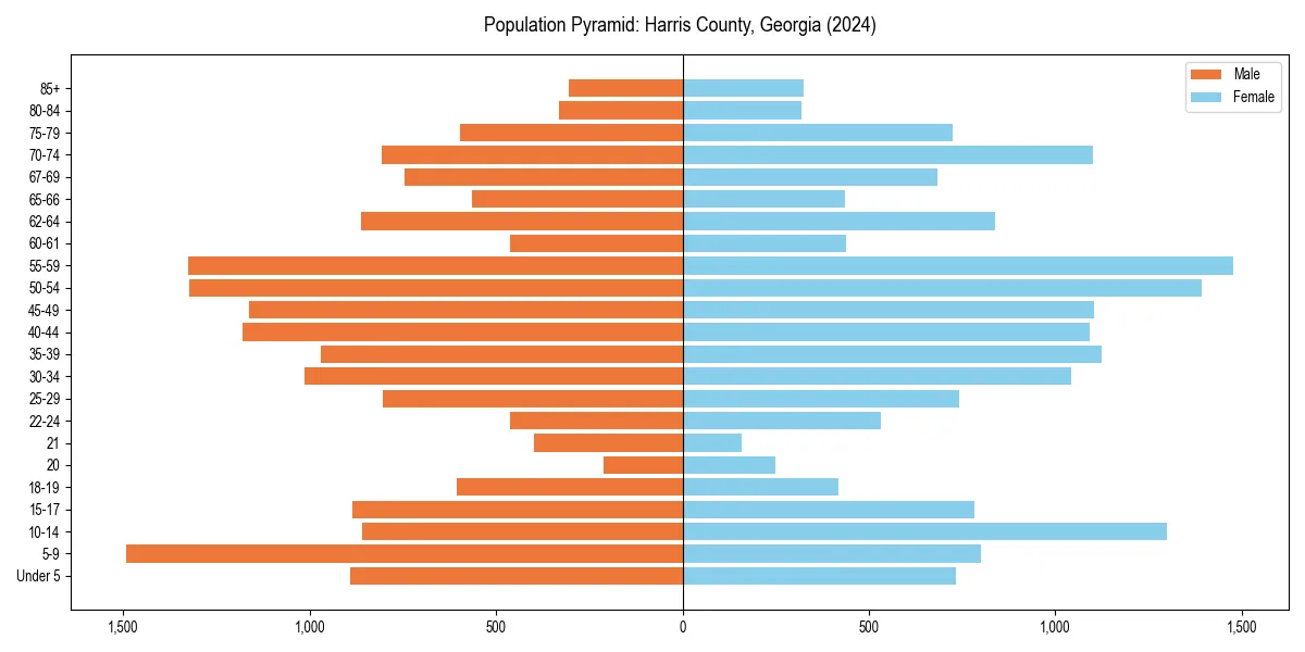 Population pyramid for 