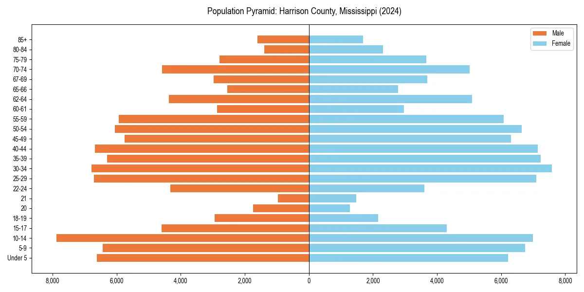 Population pyramid for 