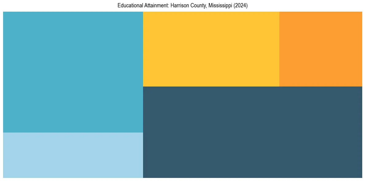 Education Treemap for  in 2024