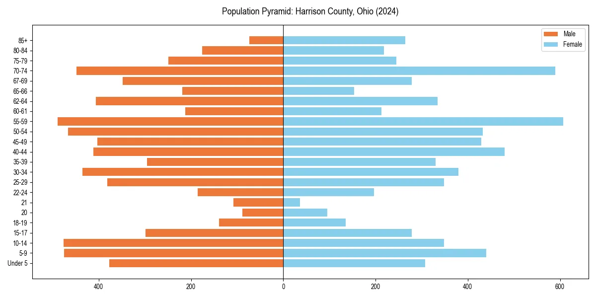 Population pyramid for 