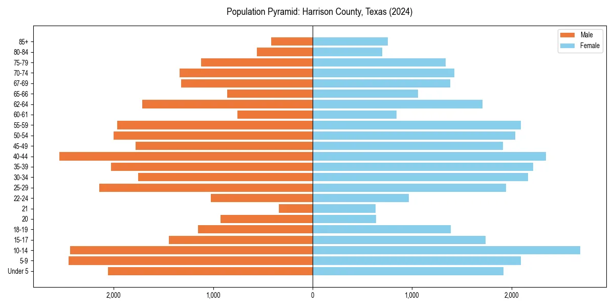 Population pyramid for 