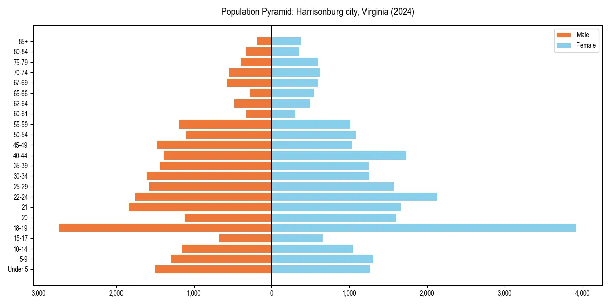 Population pyramid for 