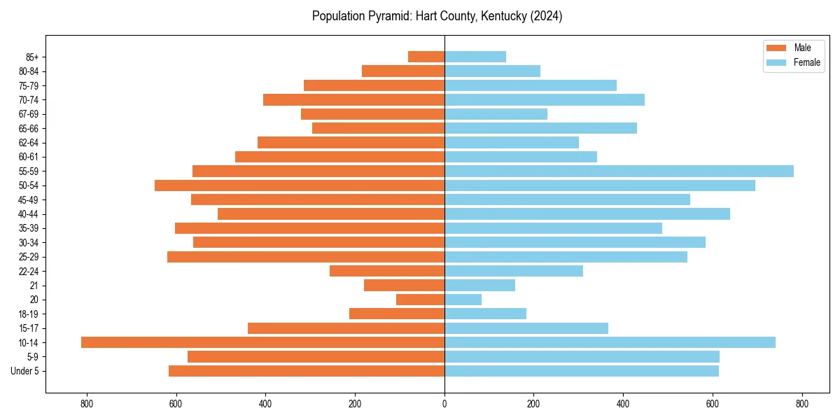 Population pyramid for 