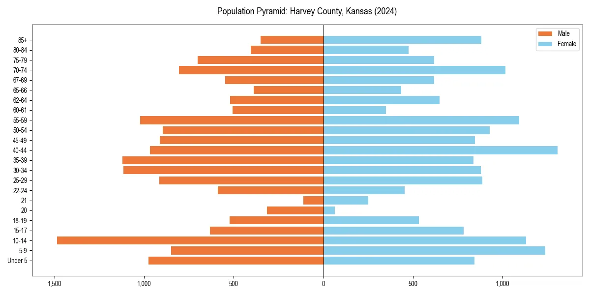 Population pyramid for 