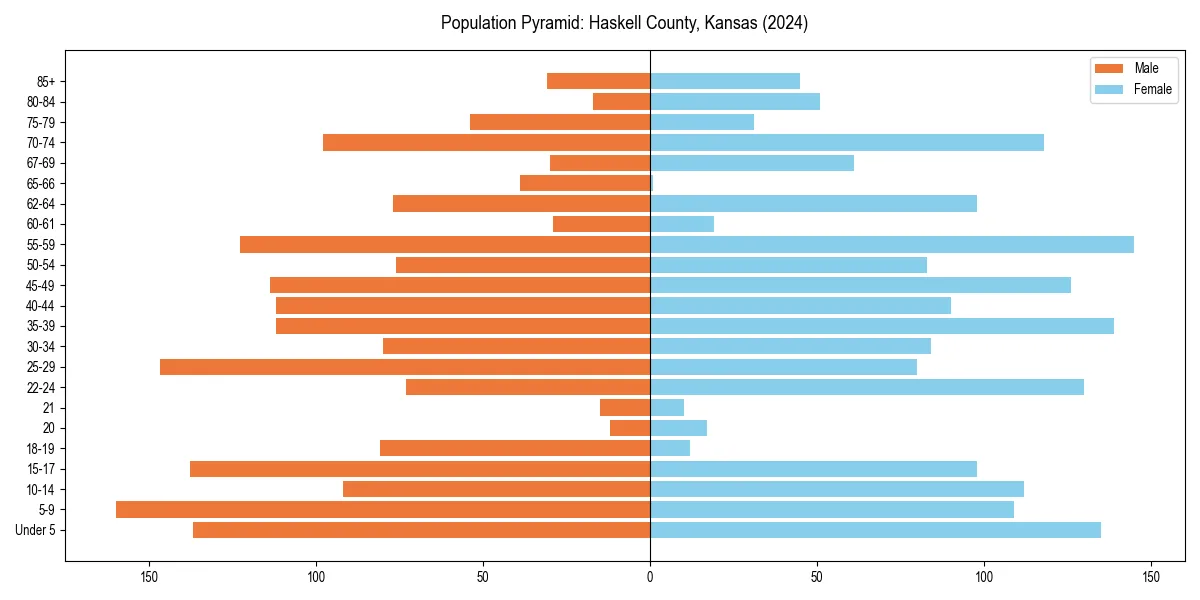 Population pyramid for 