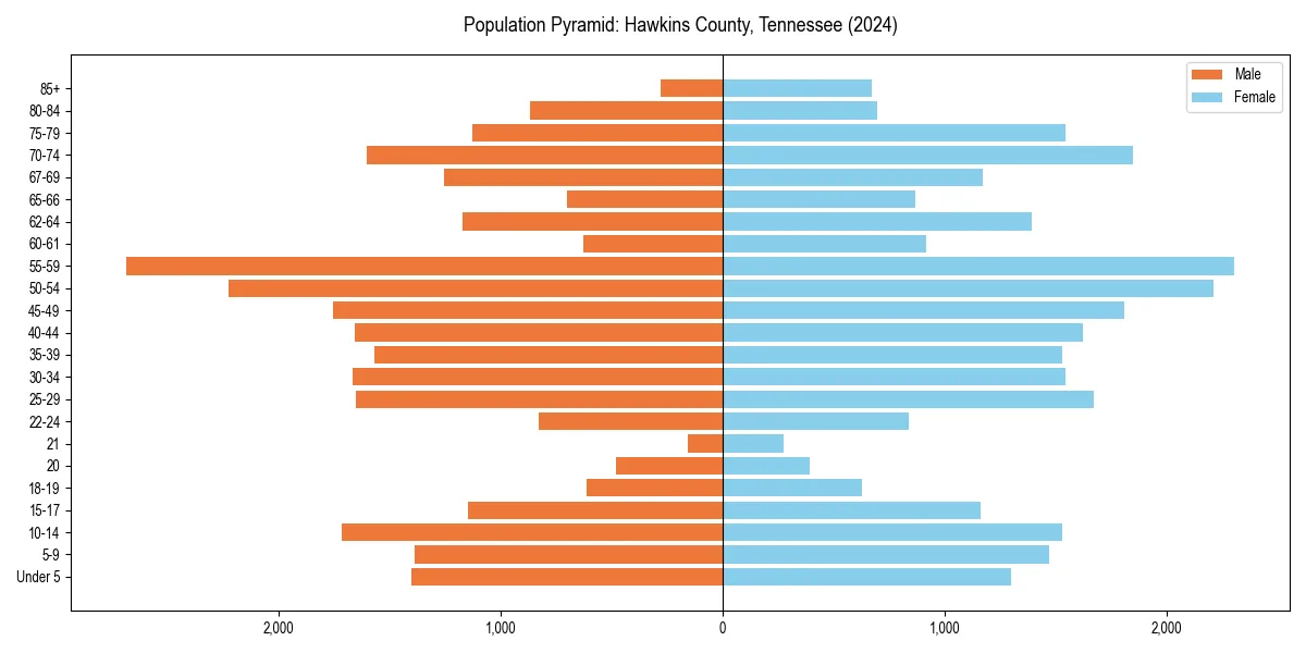 Population pyramid for 