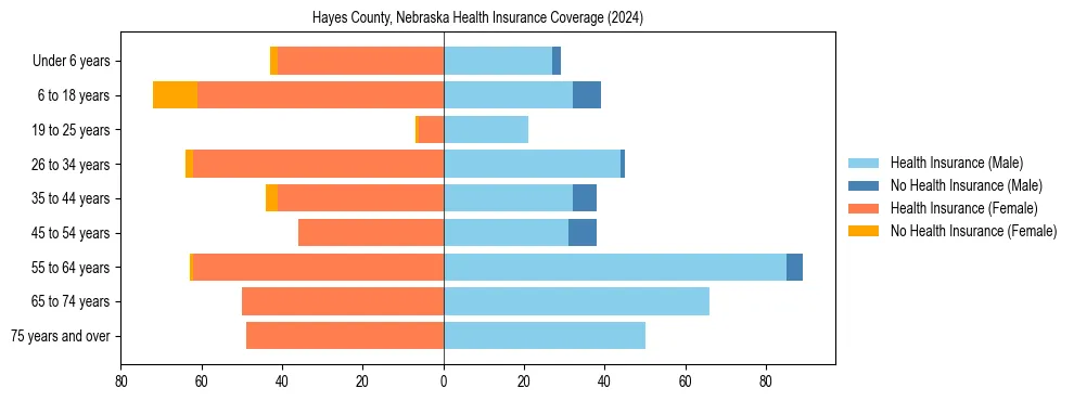 Health insurance pyramid for Hayes County, Nebraska