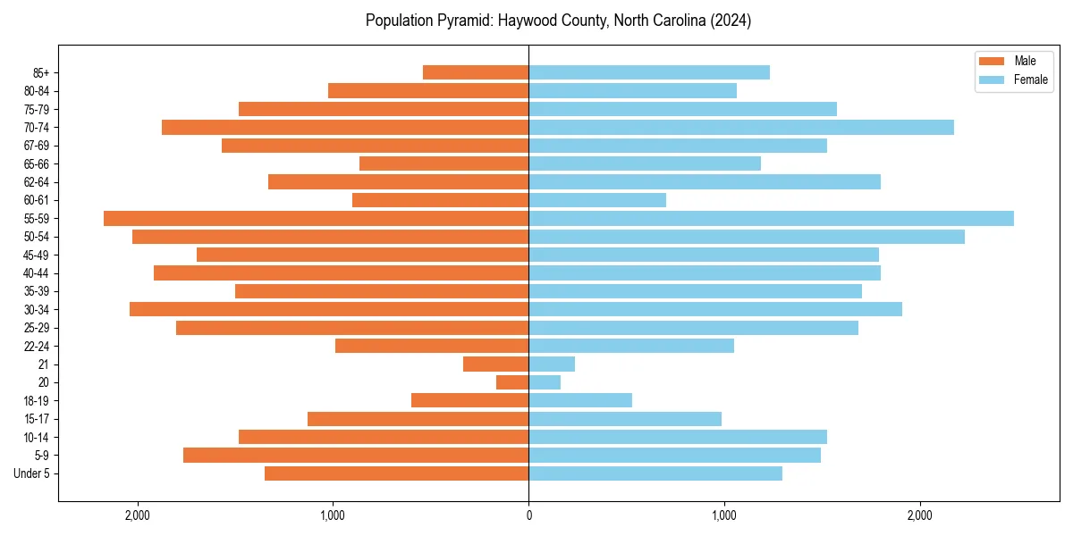 Population pyramid for 