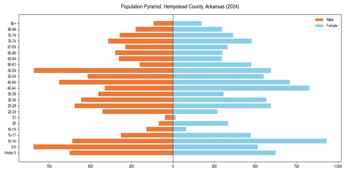 Population pyramid for 