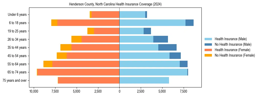 Health insurance pyramid for Henderson County, North Carolina