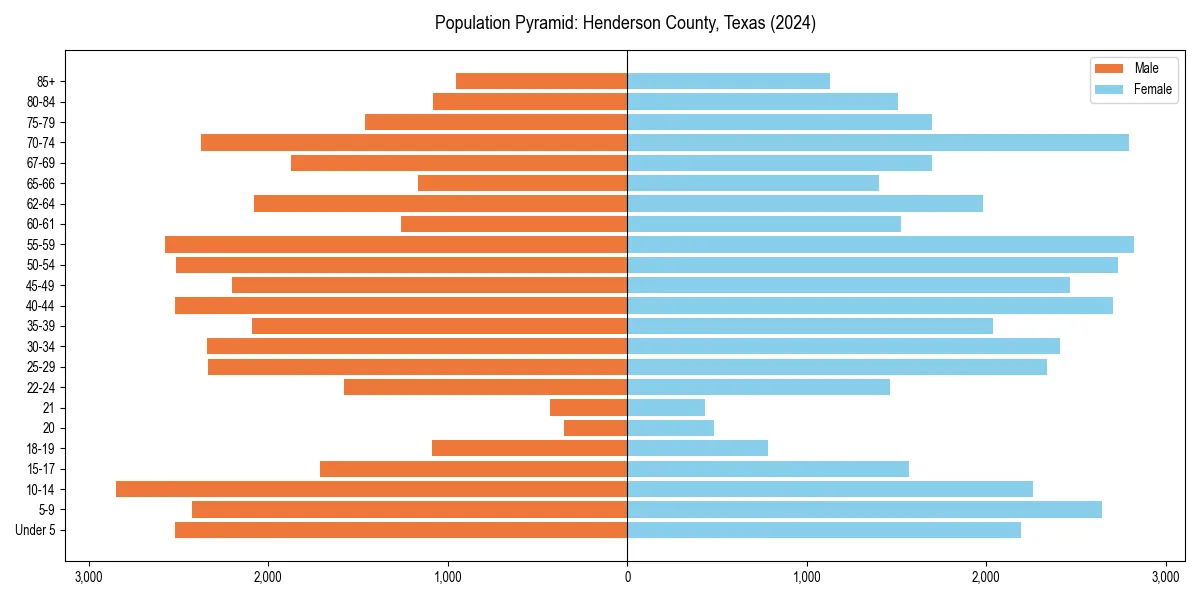 Population pyramid for 