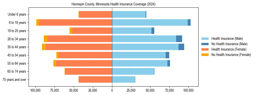 Health insurance pyramid for Hennepin County, Minnesota