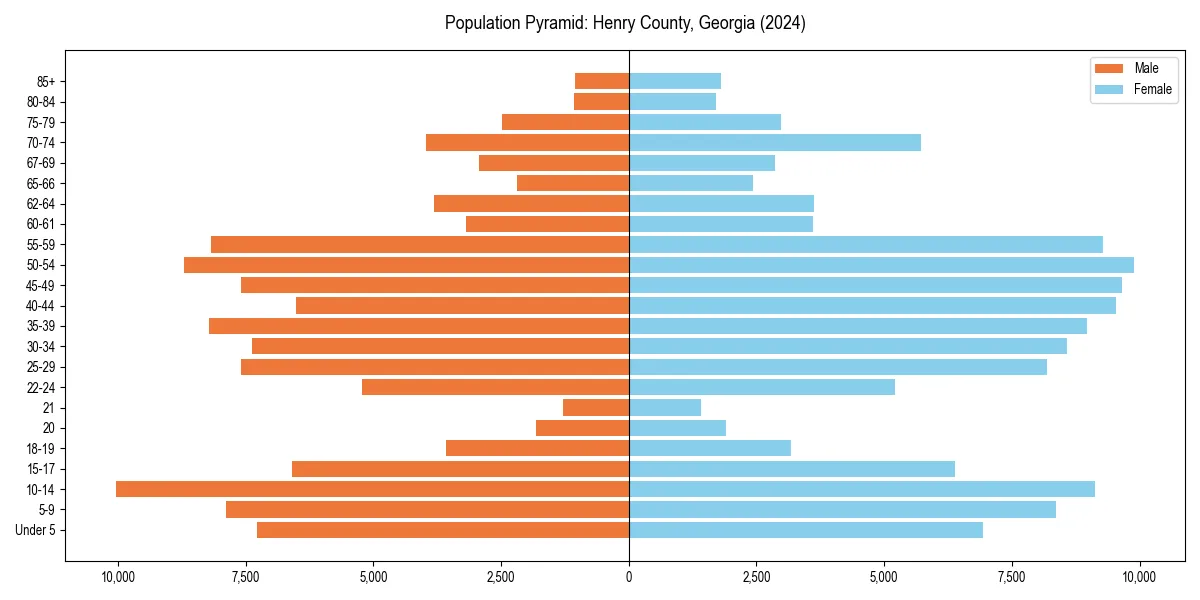 Population pyramid for 