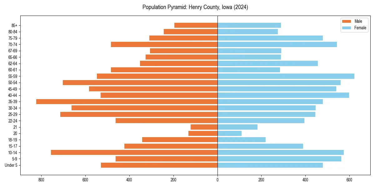 Population pyramid for 