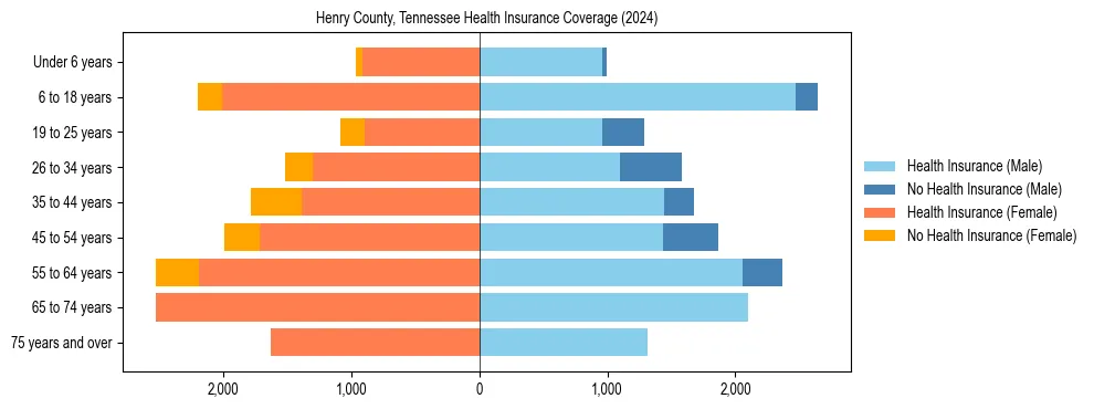 Health insurance pyramid for Henry County, Tennessee