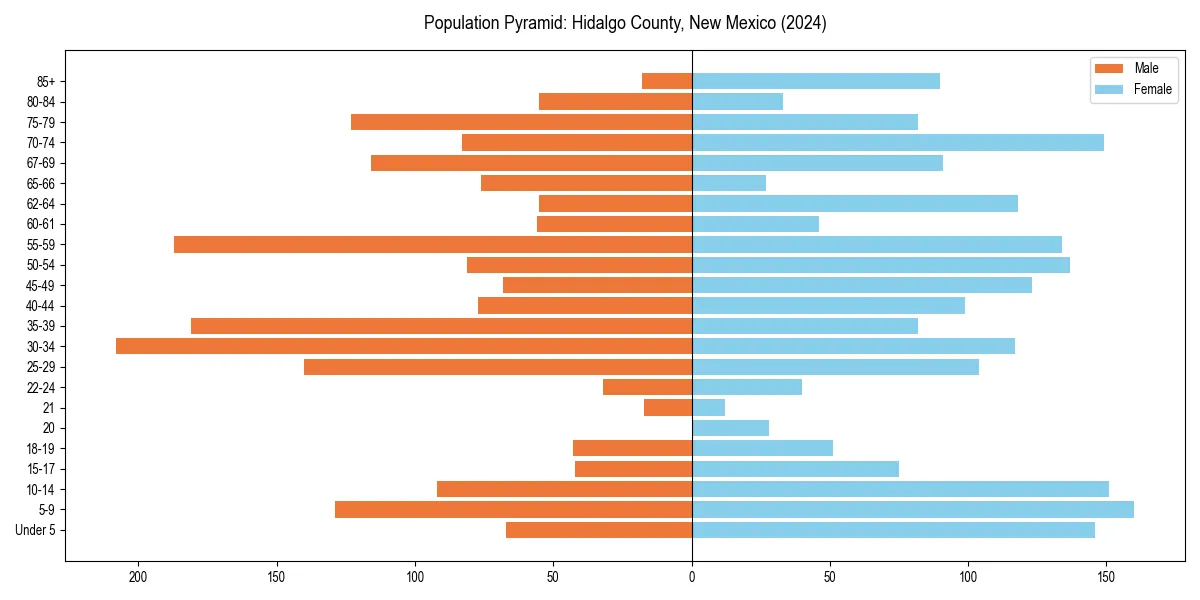 Population pyramid for 